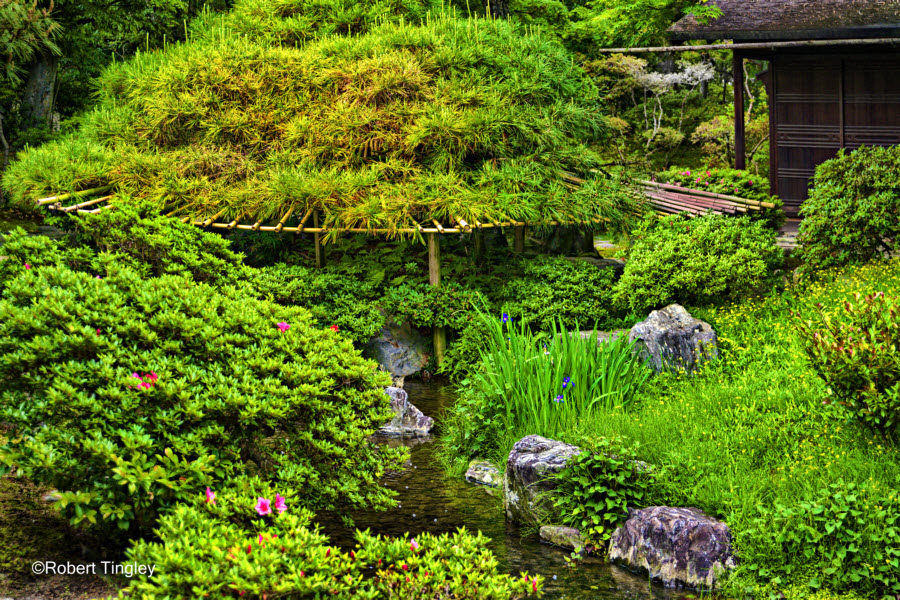 Kyoto #4570
